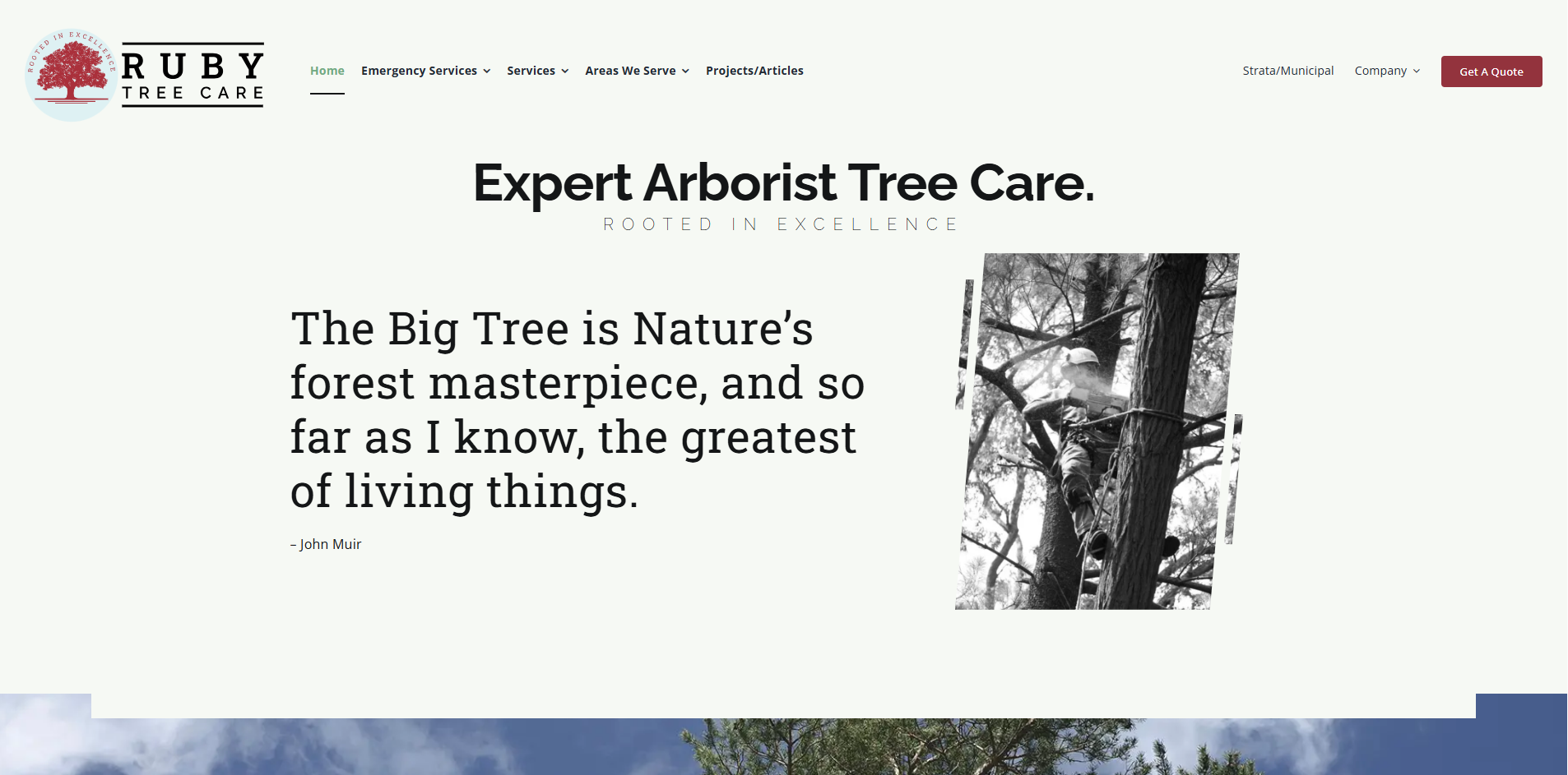 Ruby Tree Care